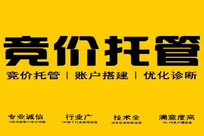 百度竞价排名案例解析：如何快速提升网站流量